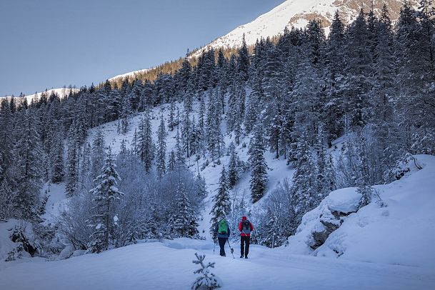 Gaistal Natur im Winter - Winterwanderer von hinten