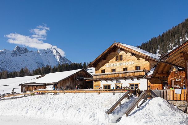 Haemmermoosalm im Winter - Kopie