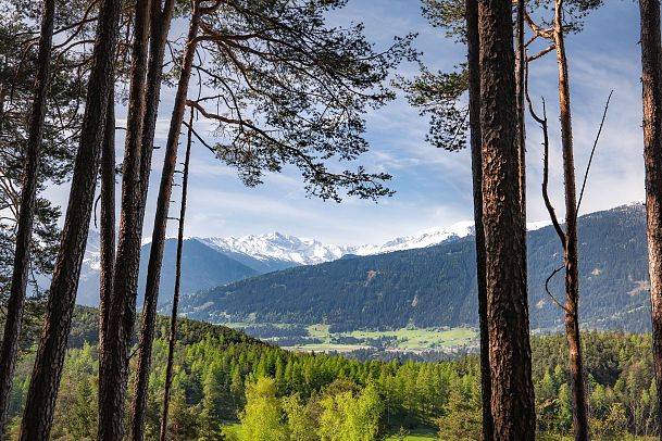 Reith Wiesenweg im Frühling - Blick vom Waldweg ins Inntal