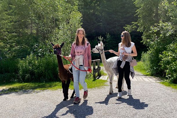 Teilnehmerinnen bei der Alpakawanderung