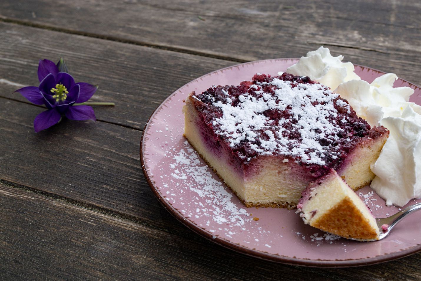 Kulinarik auf der Tillfussalm - Kuchen - Leutasch (2)