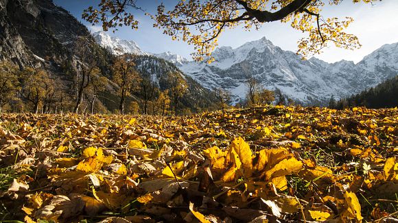 Goldener Herbst