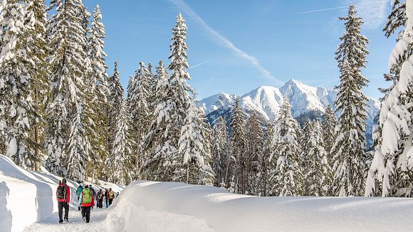 Weitwandern Etappe 3 Teilnehmer am Weg im Wald (5)