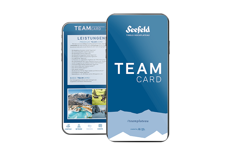 TeamCard-GrafikWebsite
