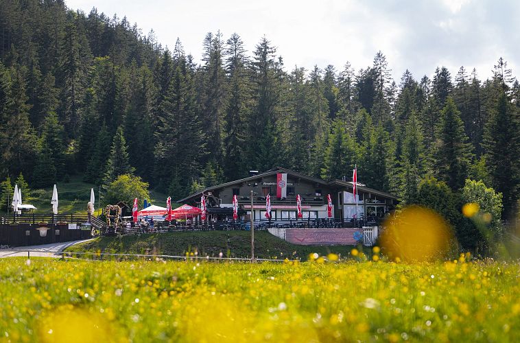 Wildmoosalm im Sommer - Nahaufnahme Alm mit verschwommenen gelben Blumen im Vordergrund